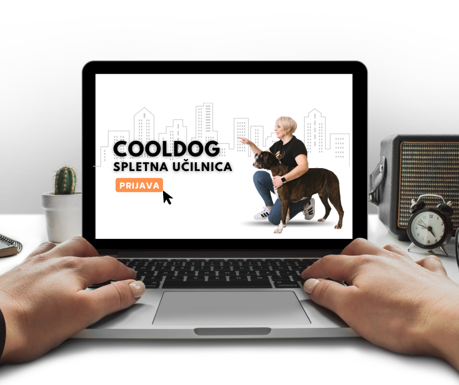 spletna učilnica cooldog