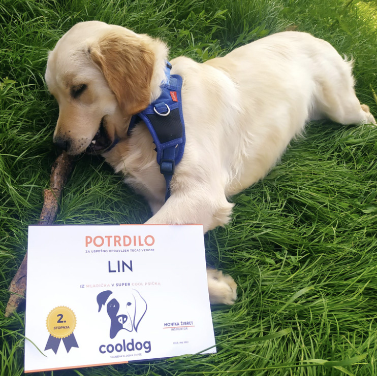 barbara-lin-testimonial