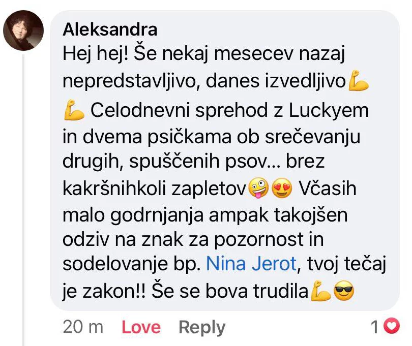 Aleksandra Testimonial