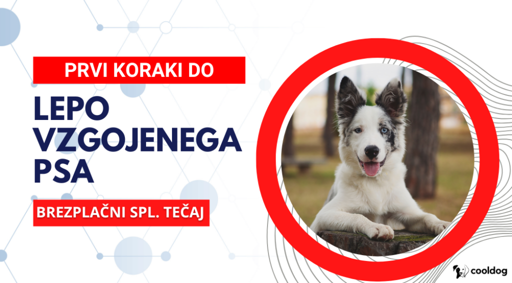 Brezplacni Spletni Tecaj 1024x566