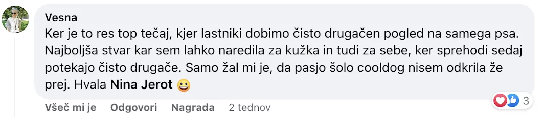 Vesna Testimonial