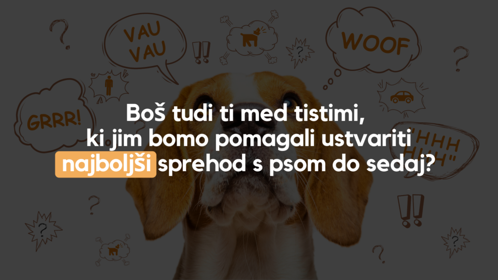 Reaktivnipsi Naslovna 1024x577