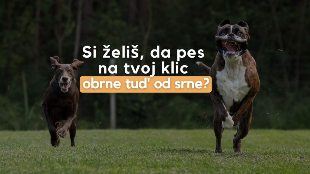 Webinar Odpoklic3 1024x577