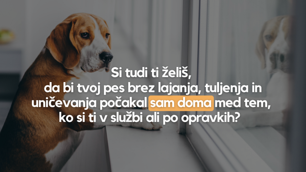 Webinar Sam Doma2 1024x577