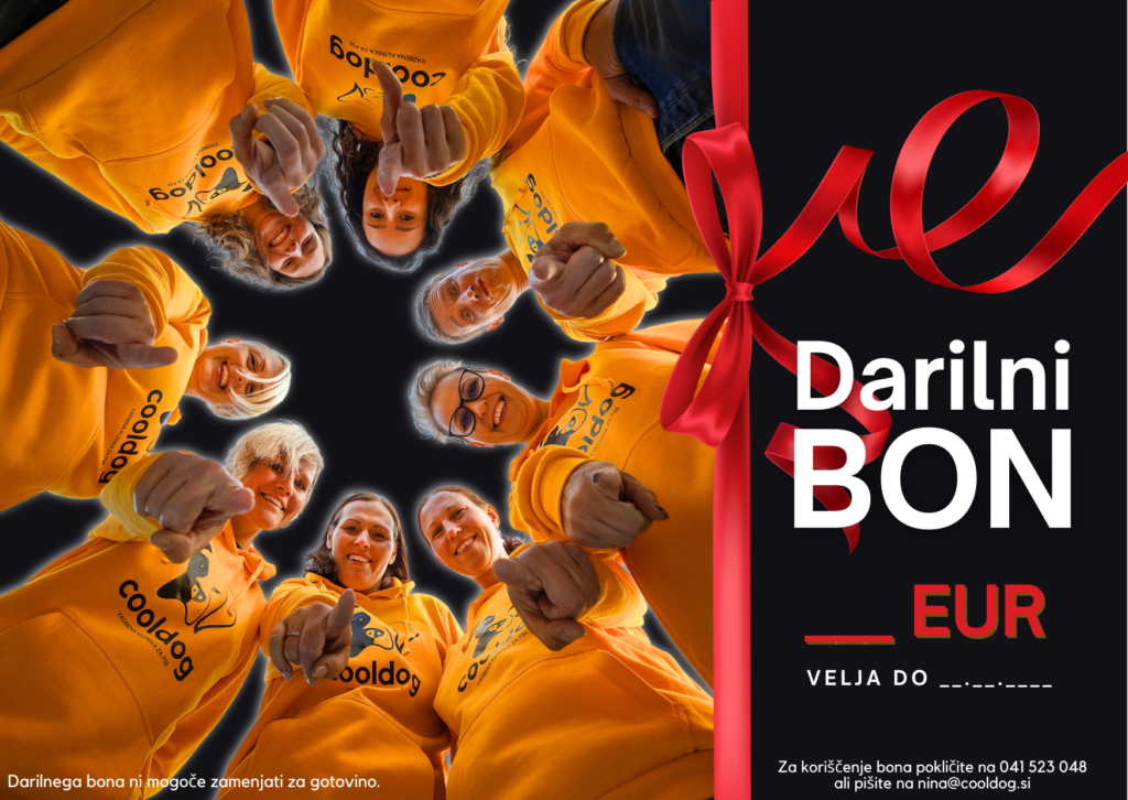 Darilni Bon 1024x726