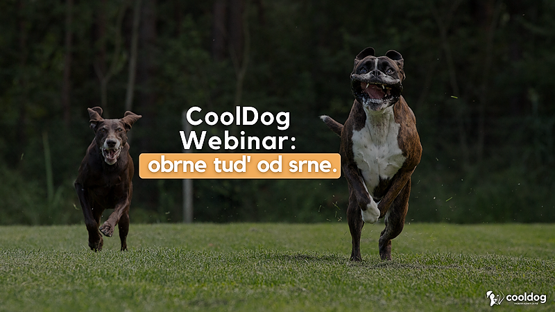 ViTxOh1kRSWGgtWfozaH CoolDog Webinar Obrne Tud Od Srne