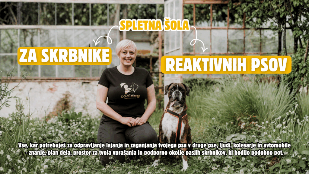 SPECIALISTI ZA VZGOJO DRUŽINSKEGA PSA Facebook Cover 7 1024x577