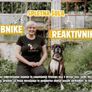 Spletna šola za skrbnike reaktivnih psov (obročno)