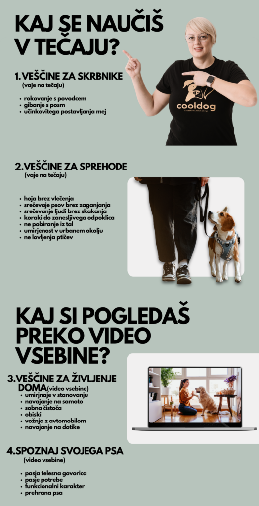 freelance creative portfolio website (2)